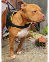 bradock-small-3