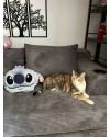amora-perdida-hugo-lange-small-0