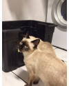 cookie-adocao-responsavel-small-1
