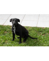 bela-6-meses-small-3