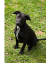 bela-6-meses-small-0