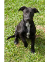bela-6-meses-small-1