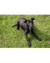 bela-6-meses-small-2