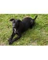 bela-6-meses-small-4