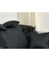 linda-gatinha-para-adocao-responsavel-small-1