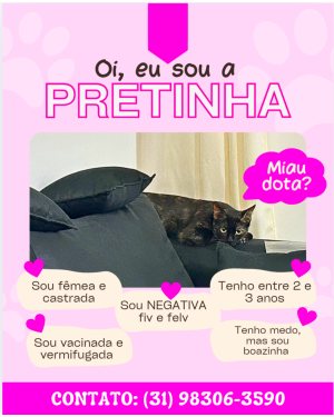 Linda Gatinha para Adoção Responsável