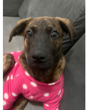 Pijaminha de bolinha e coração cheio de amor: Quem resiste a essa princesinha?