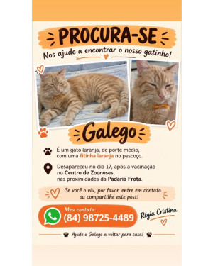 Procura-se Galego!