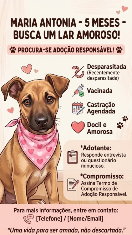 procura-se-um-lar-amoroso-adocao-doacao-cachorro-gato-2
