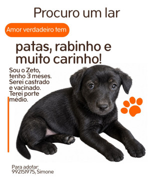 Zeto, um fofo!