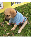 amado-franklin-small-4