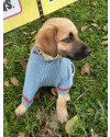 amado-franklin-small-1