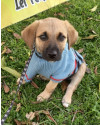 amado-franklin-small-2
