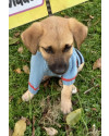 amado-franklin-small-3