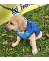lindo-joao-small-2