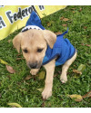 lindo-joao-small-4