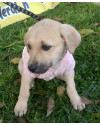linda-rayssa-small-2