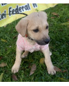 linda-rayssa-small-3