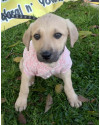 linda-rayssa-small-4