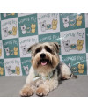 cezar-3-anos-porte-p-small-1