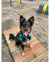 maya-2-anos-porte-m-small-0