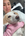 milka-8-meses-castrada-small-1