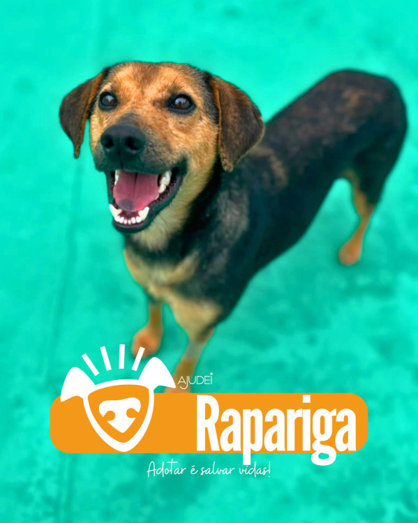 rapariga-procura-um-lar-adocao-doacao-cachorro-gato-0