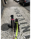 milena-e-eduardo-irmaozinhos-small-4