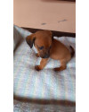 he-man-o-pequenino-small-2