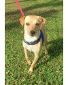 amado-frederico-small-2