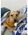 amado-frederico-small-3