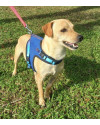 amado-frederico-small-4