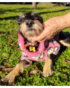 doce-juju-small-3