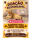 laranja-femea-adulta-small-0