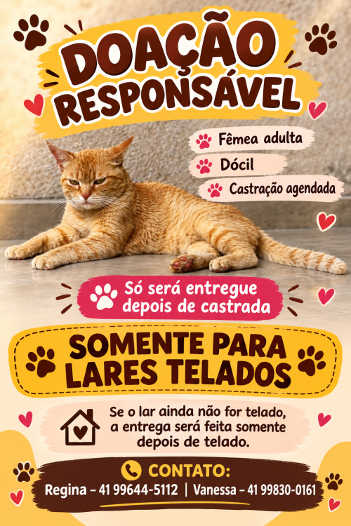 laranja-femea-adulta-adocao-doacao-cachorro-gato-0