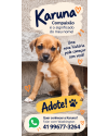 karuna-um-nome-cheio-de-significado-uma-historia-esperando-um-final-feliz-small-4