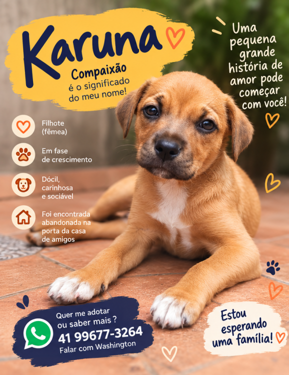 karuna-um-nome-cheio-de-significado-uma-historia-esperando-um-final-feliz-adocao-doacao-cachorro-gato-1
