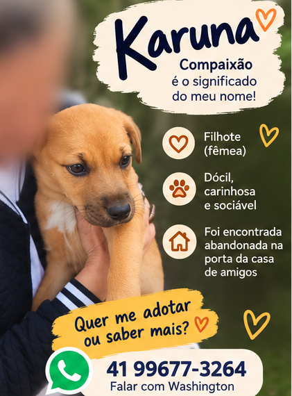 karuna-um-nome-cheio-de-significado-uma-historia-esperando-um-final-feliz-adocao-doacao-cachorro-gato-0