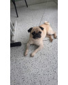 billy-small-2